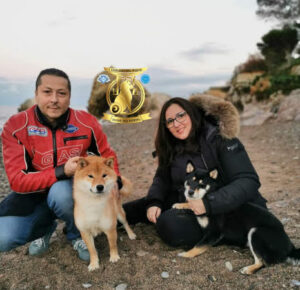 allevamento shiba Inu