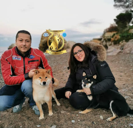 allevamento shiba Inu