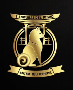 i samurai del pigno - allevamento shiba inu
